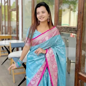 pure kanchi katan saree